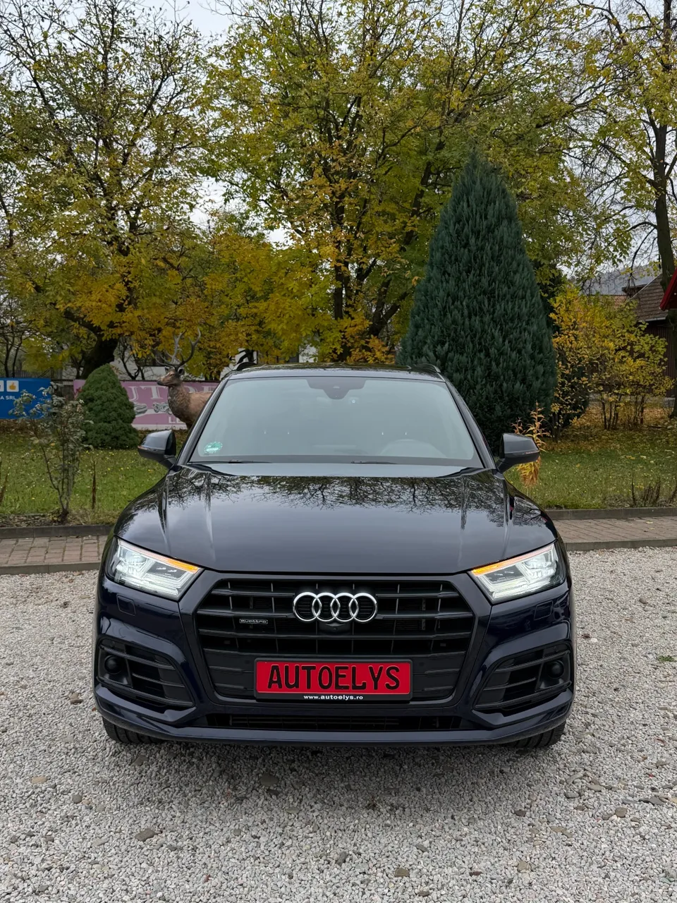 Audi Q5 sport 55 TFSI E Quattro S-tronic "S line", Plug-in Hybrid , 252CP, 2