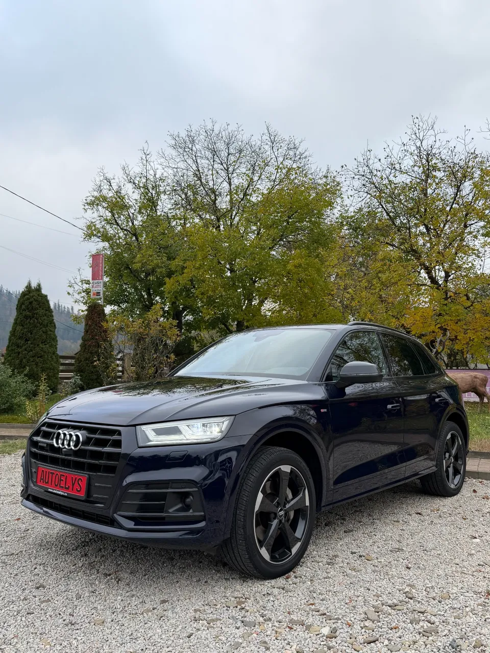 Audi Q5 sport 55 TFSI E Quattro S-tronic "S line", Plug-in Hybrid , 252CP,